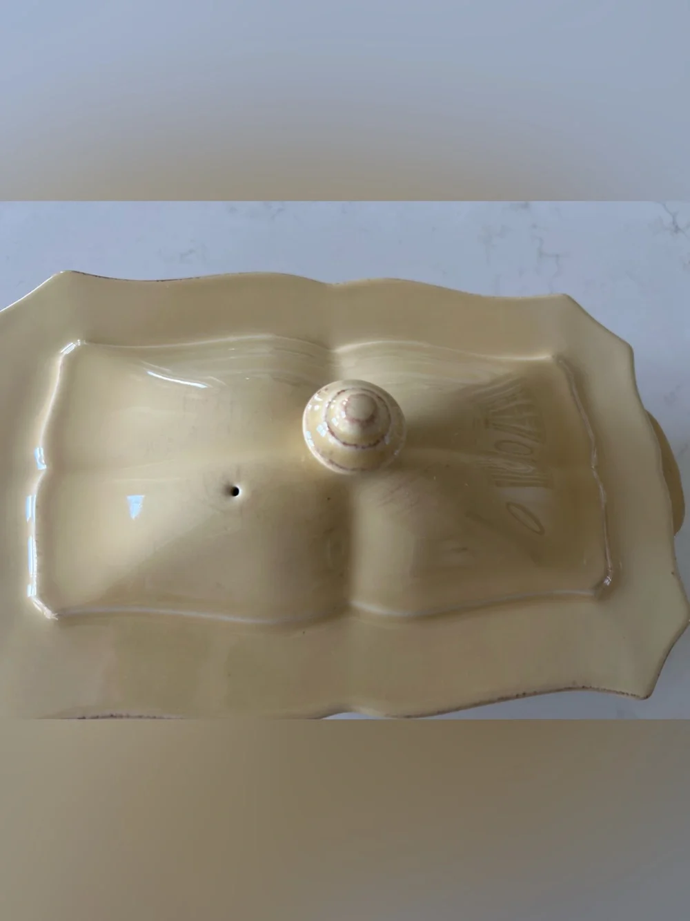 Skyros Designs Yellow Crème Rectangular Baker with Lid **RARE**